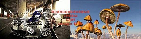 СК Киреевск