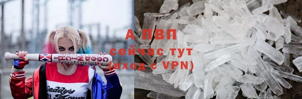 СК Киреевск