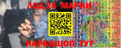 гидропоника Пенза