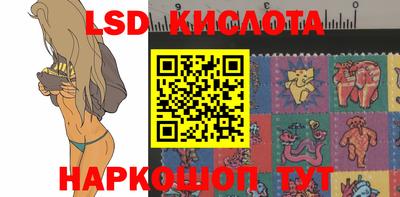 гидропоника Пенза