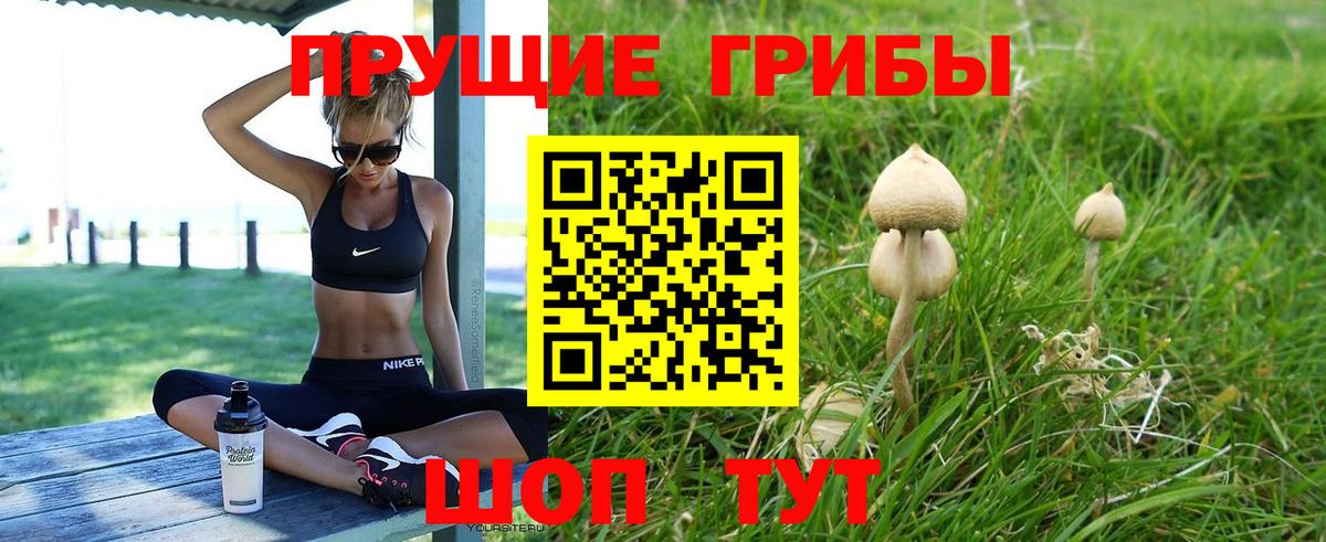 Черногорск  Галлюциногенные грибы GOLDEN TEACHER  Вход с VPN  Галлюциногенные грибы прущие грибы 