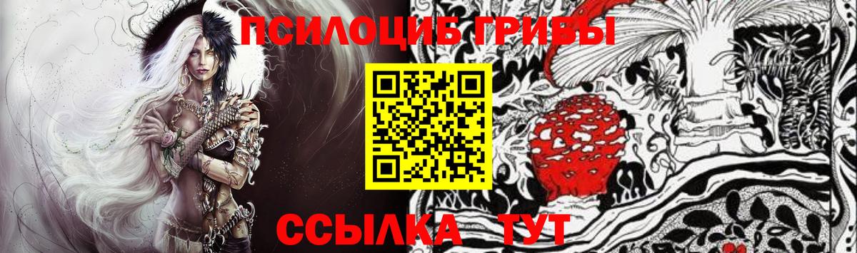 Псилоцибиновые грибы GOLDEN TEACHER Черногорск